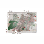 Puzzle Ciudad de Mexico