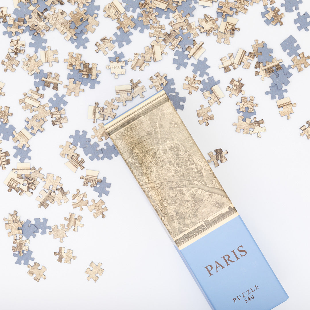 Paris puzzle piece detail