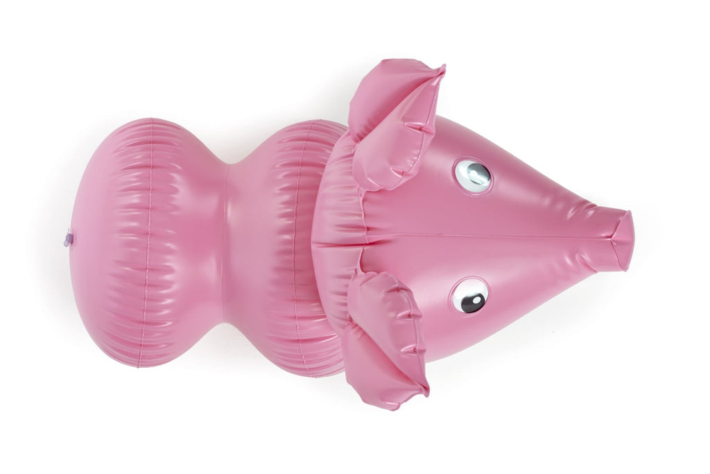 Inflatable pink pig seen from above