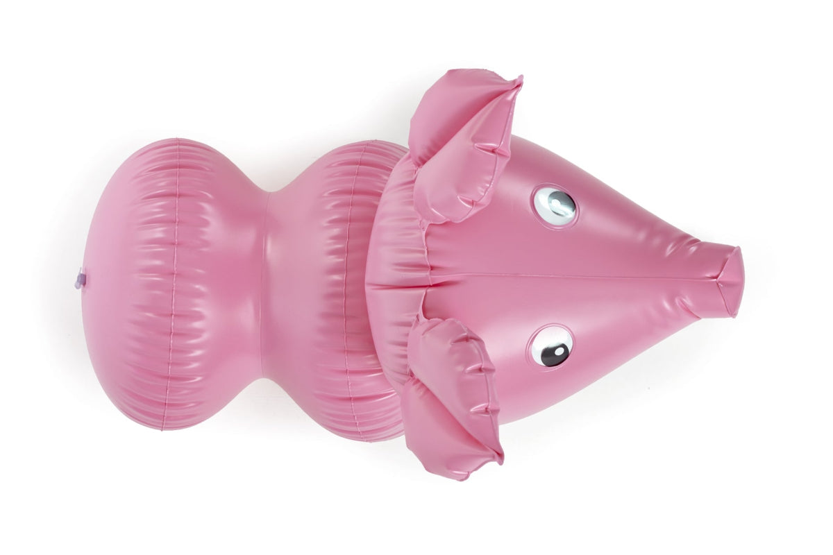 Inflatable pink pig seen from above