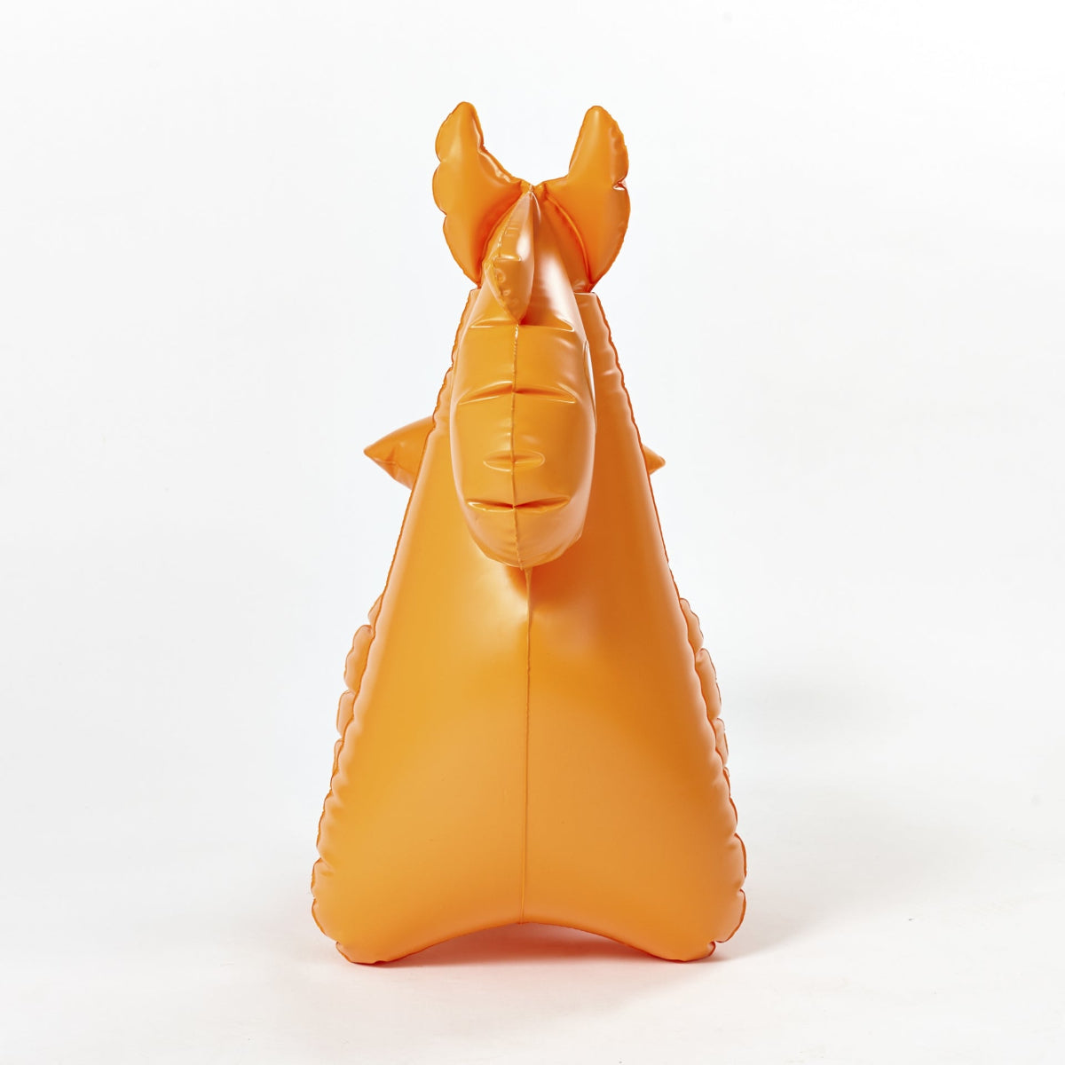 Inflatable pony, front view