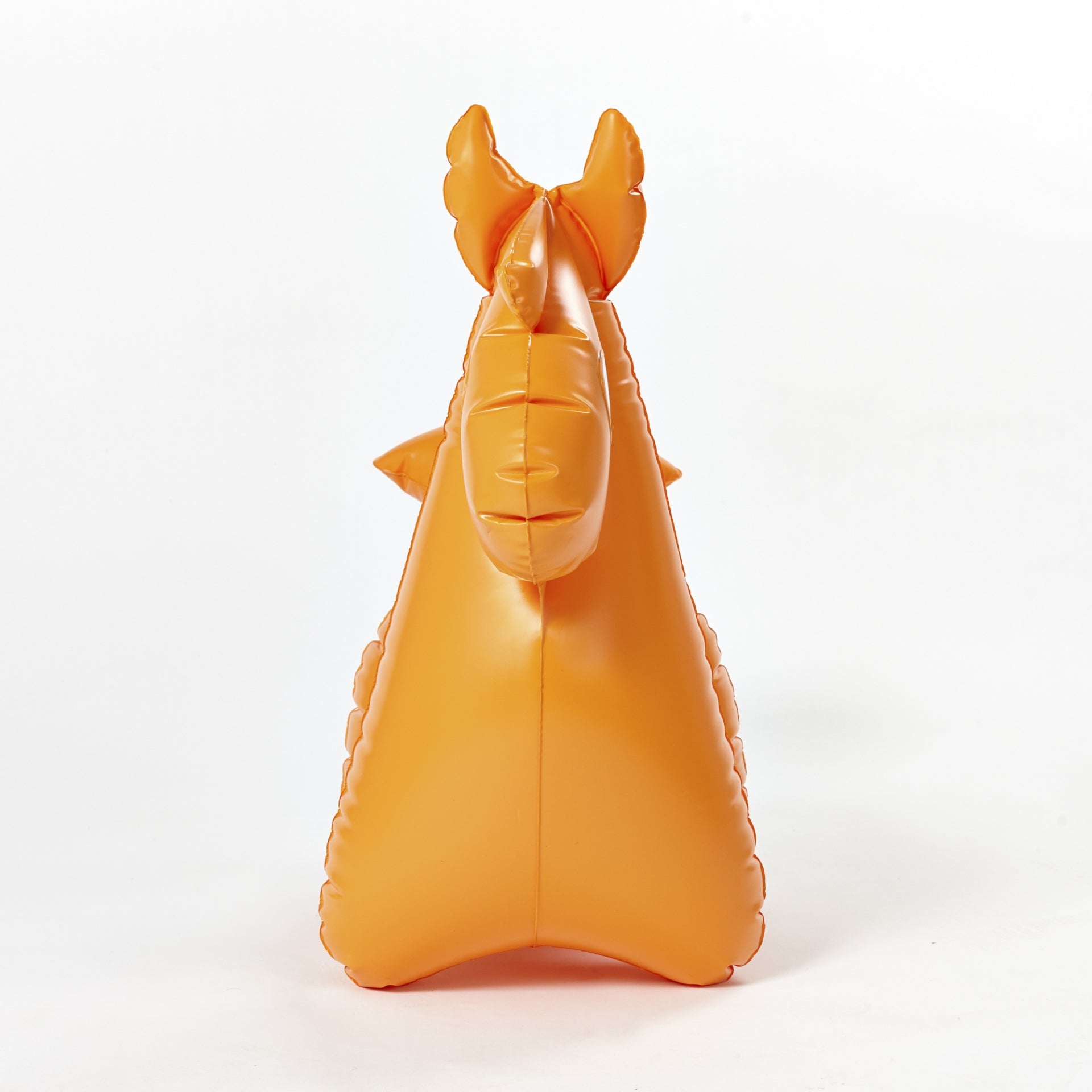 Pony - Image 4